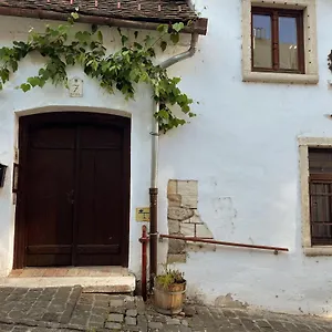 Daire Gul Baba Saray, Budapeşte